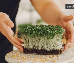 The Best Microgreens You Need for Health and Flavor Boost