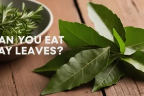 Can You Eat Bay Leaves?
