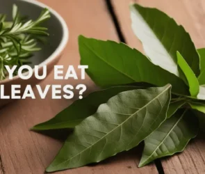 Can You Eat Bay Leaves?